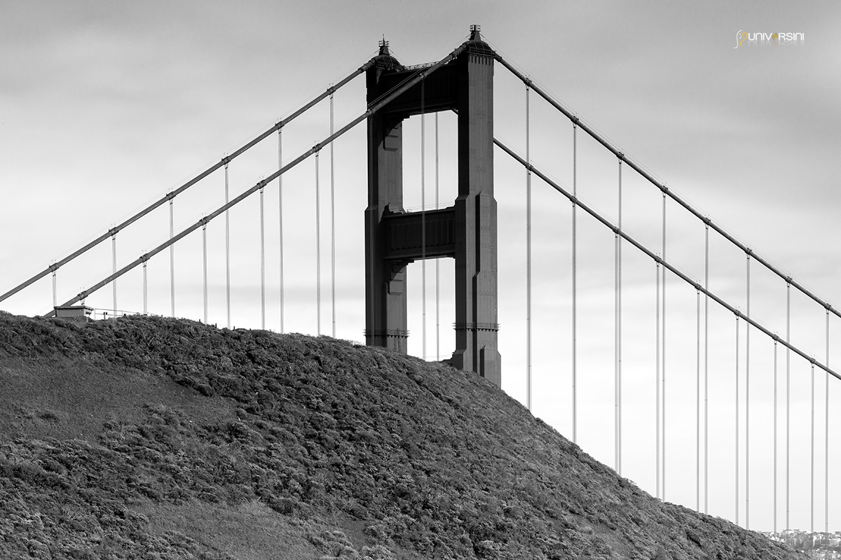 Monochrome – universini.com